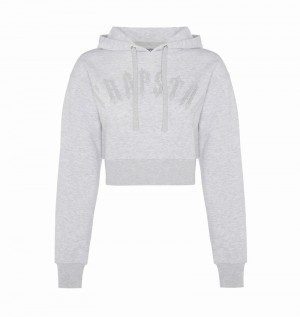 Grey Trapstar Irongate Stud Cropped Women's Hoodie | QLAVRH-643