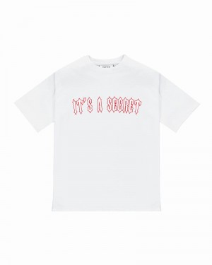 White / Red Trapstar It's a Secret Tee 2.0 Men's T Shirts | NOIYTA-675